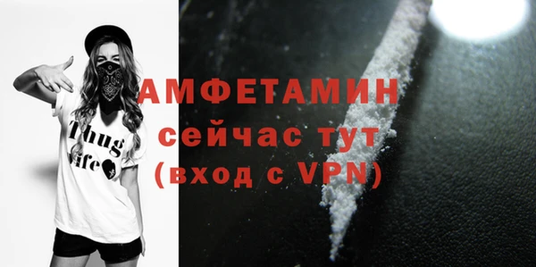 прущие грибы Мегион