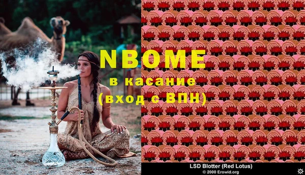 прущие грибы Мегион