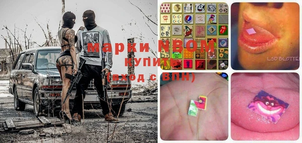 прущие грибы Мегион