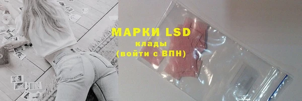 прущие грибы Мегион