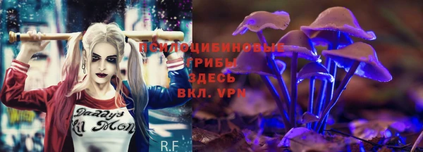 каннабис Медвежьегорск