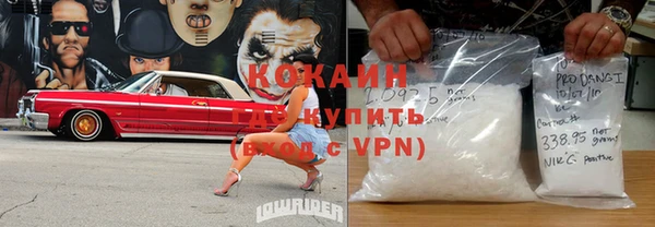 прущие грибы Мегион