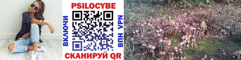 Галлюциногенные грибы мицелий  Купить где  Тутаев 
